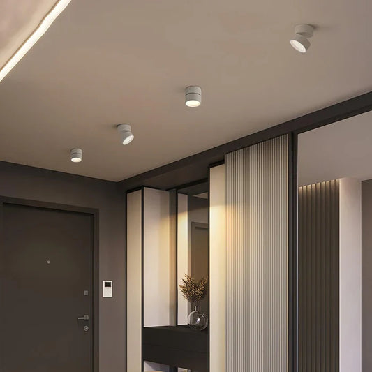 Modern Adjustable LED Ceiling Light