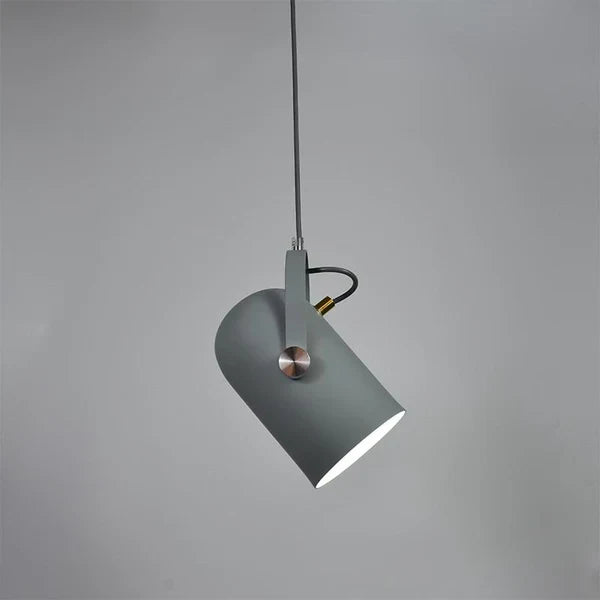 Modern Adjustable Pendant Light – Colourful Designer Ceiling Lamp