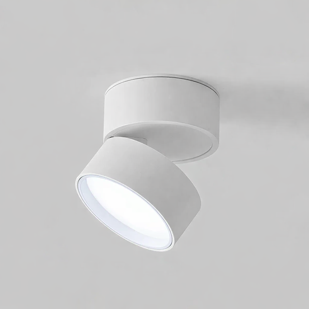 Modern Adjustable LED Ceiling Light