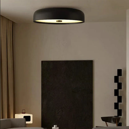 Modern Minimalist LED Ceiling Flush Mount Light