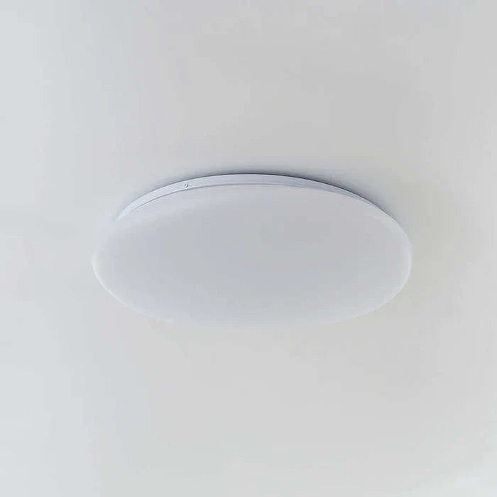 Organic LED Ceiling Light – Natural Stone Shape