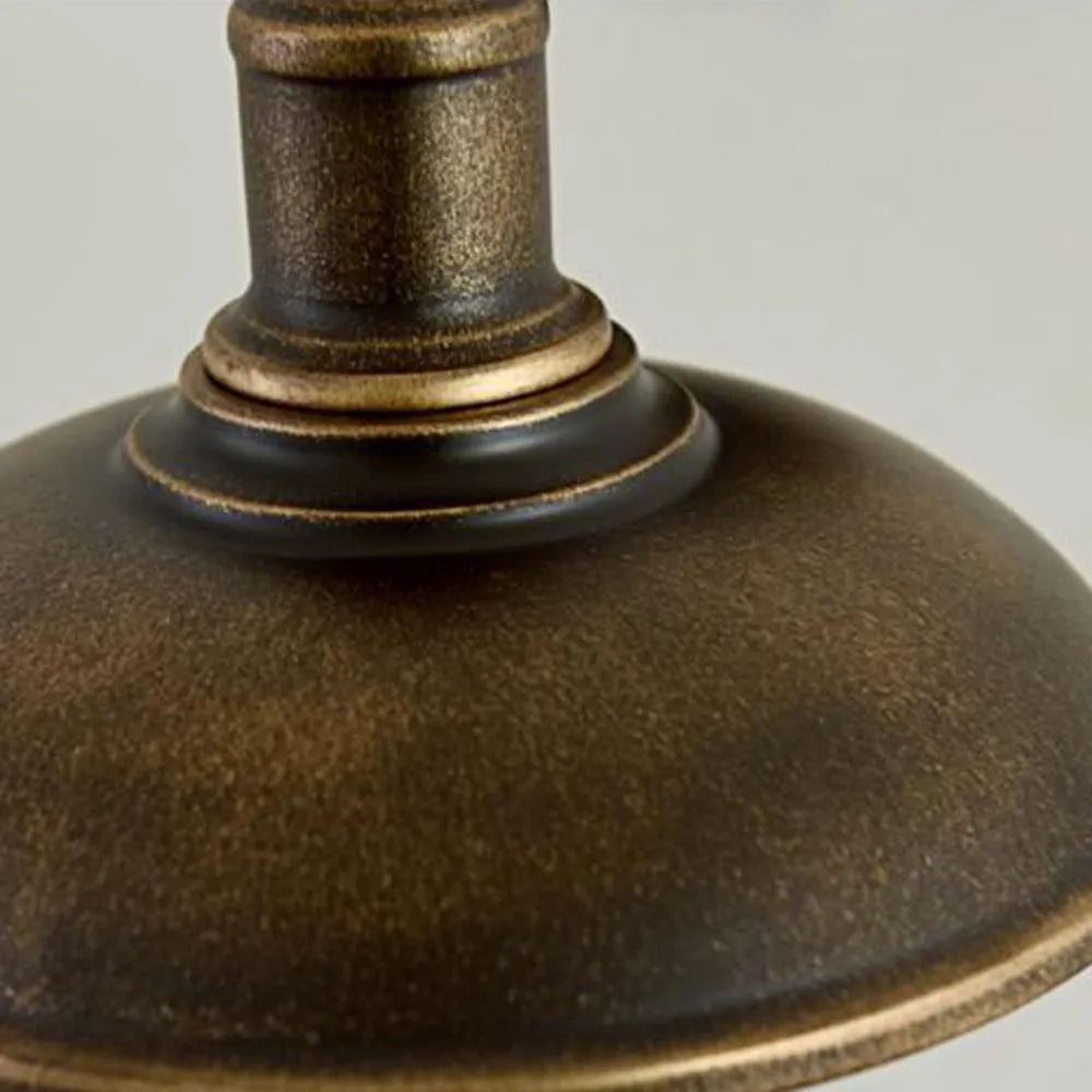 Rustic Bowl Gooseneck Metal Outdoor Wall Light - Arrielight