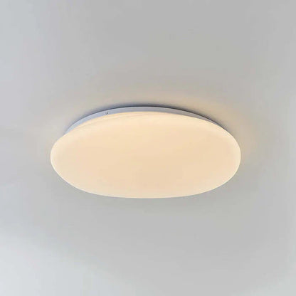 Organic LED Ceiling Light – Natural Stone Shape