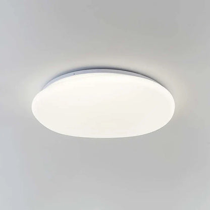 Organic LED Ceiling Light – Natural Stone Shape