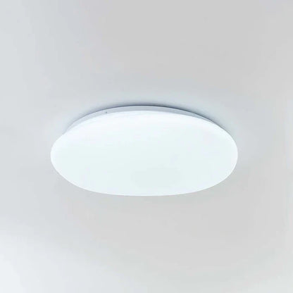 Organic LED Ceiling Light – Natural Stone Shape