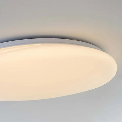Organic LED Ceiling Light – Natural Stone Shape