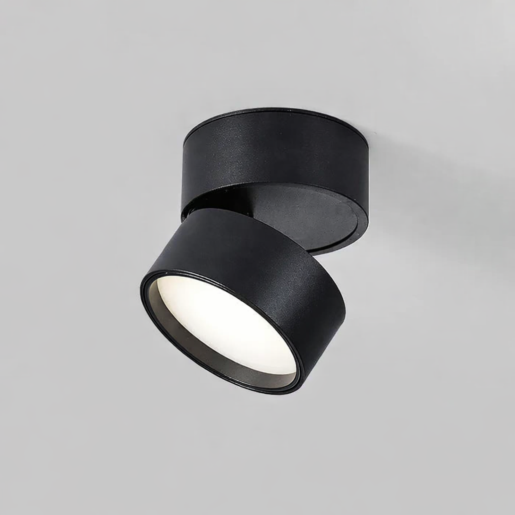 Modern Adjustable LED Ceiling Light
