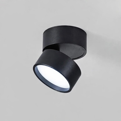 Modern Adjustable LED Ceiling Light