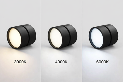 Modern Adjustable LED Ceiling Light