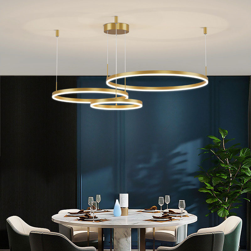 Brushed Metal Ring LED Ceiling Pendant - Arrielight