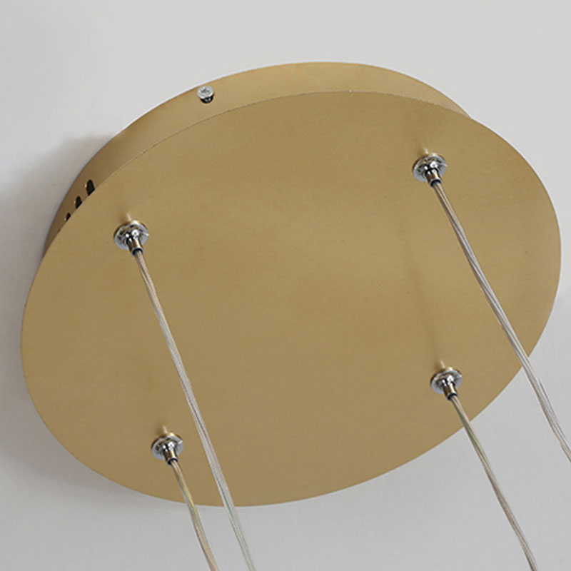 Brushed Metal Ring LED Ceiling Pendant - Arrielight