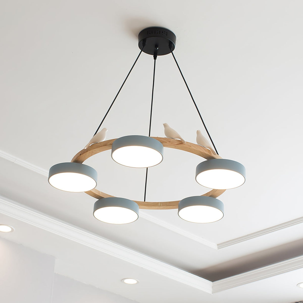Wooden Ring Bird Chandelier with Round LED Shades - Arrielight