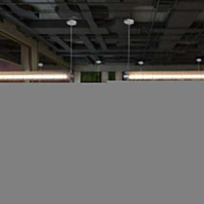 Caged Linear Tube Ceiling Pendant, Industrial Bar Light - Arrielight