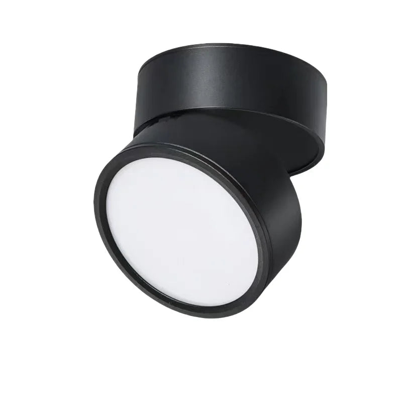 Modern Adjustable LED Ceiling Light
