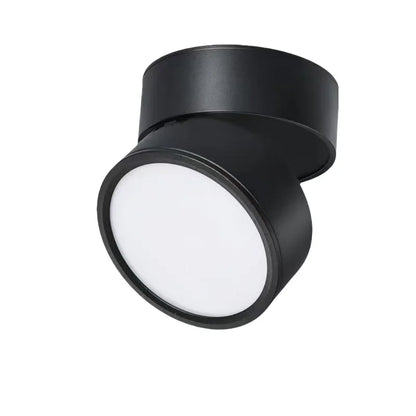 Modern Adjustable LED Ceiling Light