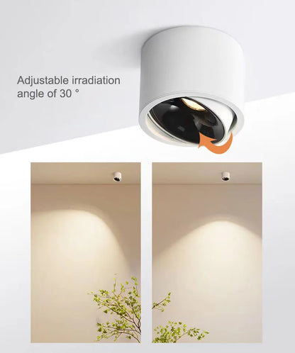 LED Surface-Mounted Ceiling Spotlight – Adjustable Angle, Modern Downlight