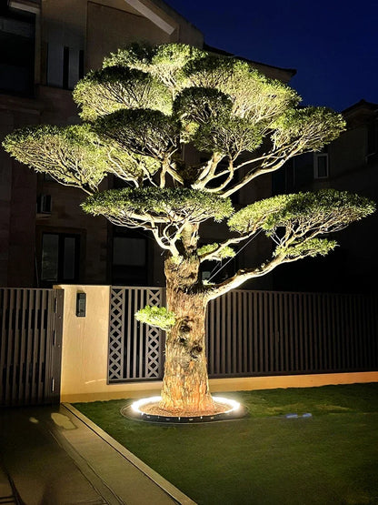 360° LED Ring Ground Light for Trees, Driveways & Garden Landscapes