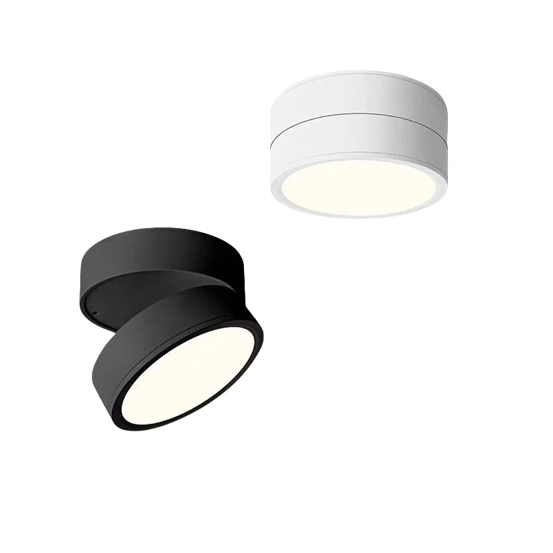 Modern Adjustable LED Ceiling Light