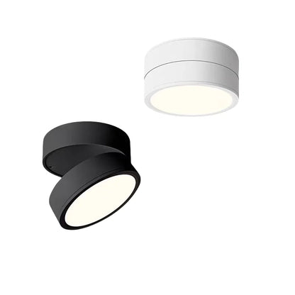 Modern Adjustable LED Ceiling Light