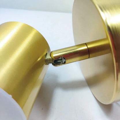 Modern LED Wall Light with Gold Finish