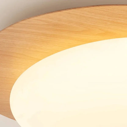 Modern LED Ceiling Light with Wooden Accent