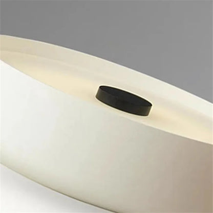 Modern Minimalist LED Ceiling Flush Mount Light