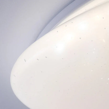 Organic LED Ceiling Light – Natural Stone Shape