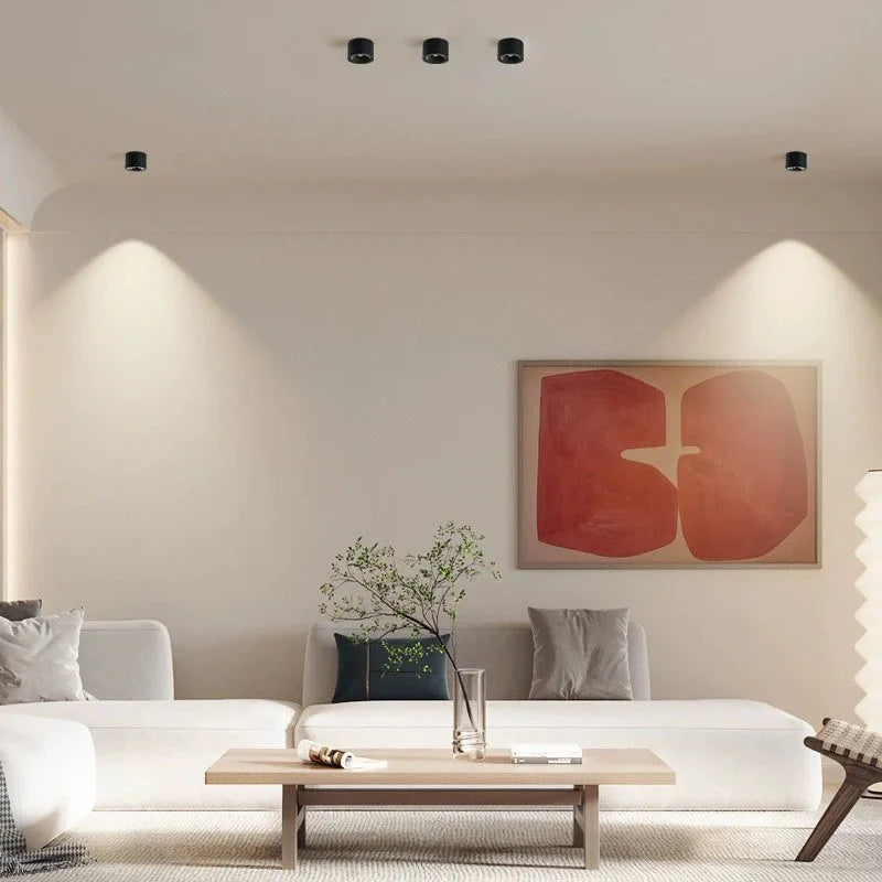 LED Surface-Mounted Ceiling Spotlight – Adjustable Angle, Modern Downlight