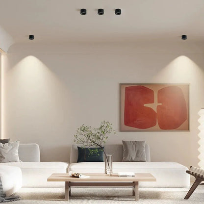 LED Surface-Mounted Ceiling Spotlight – Adjustable Angle, Modern Downlight