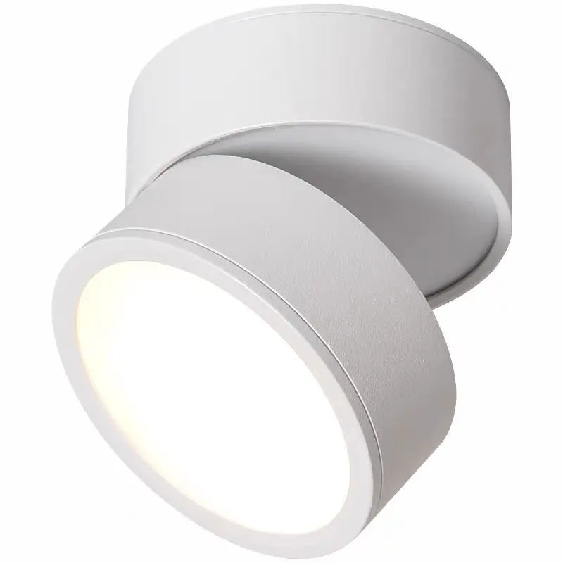 Modern Adjustable LED Ceiling Light