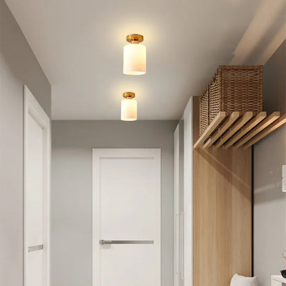 Modern Frosted Glass Ceiling Flush Mount Light