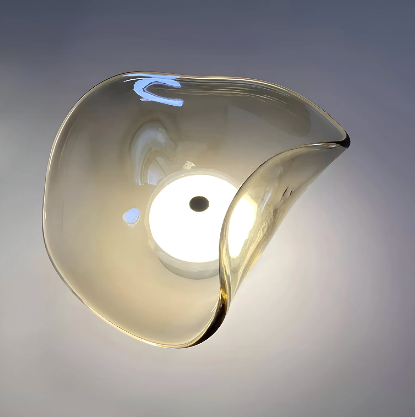 Designer LED Wall Light with Organic Shaped Shade