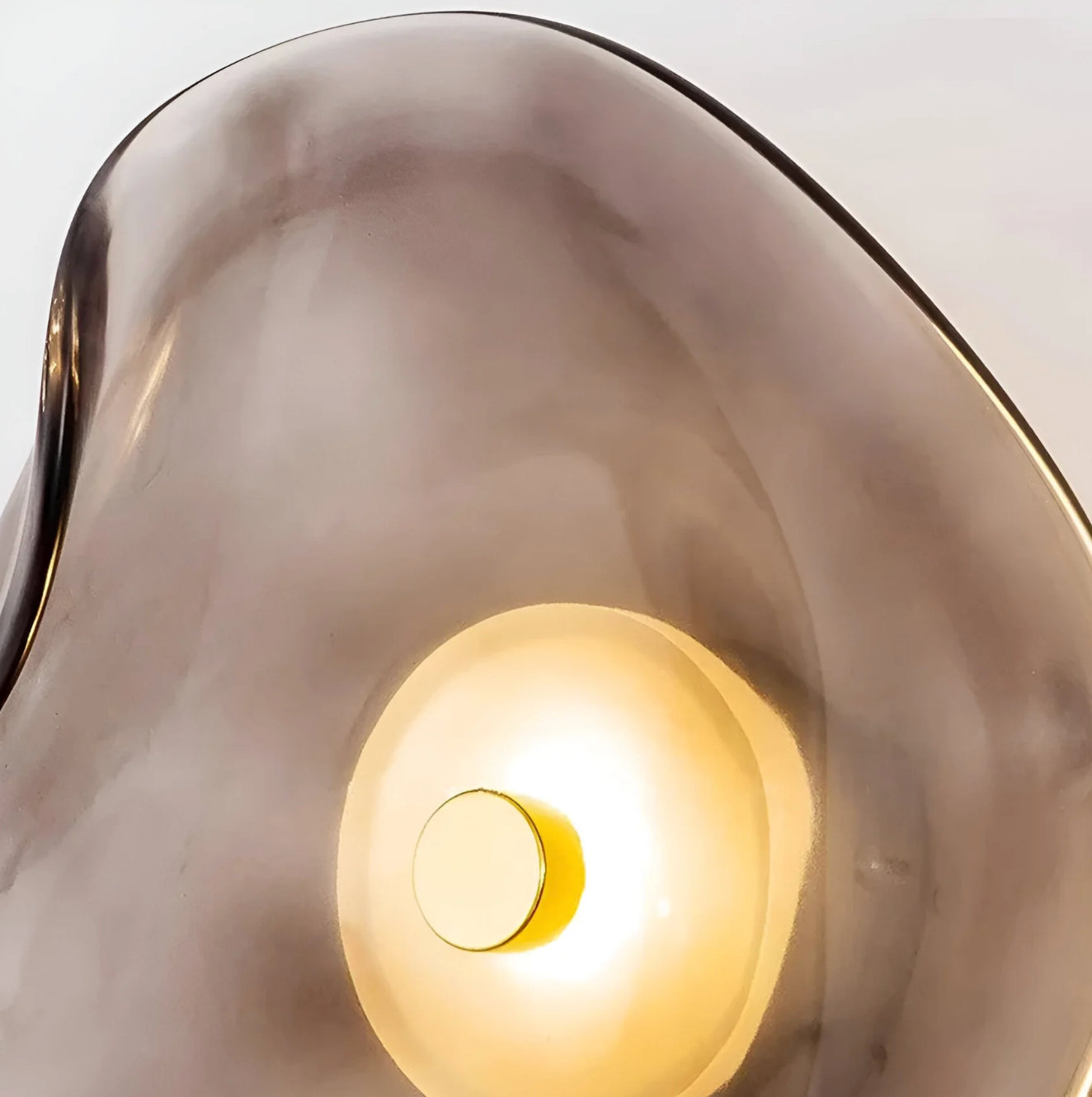 Designer LED Wall Light with Organic Shaped Shade