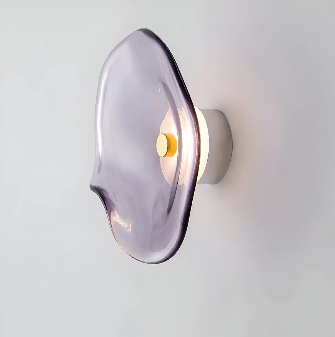 Designer LED Wall Light with Organic Shaped Shade