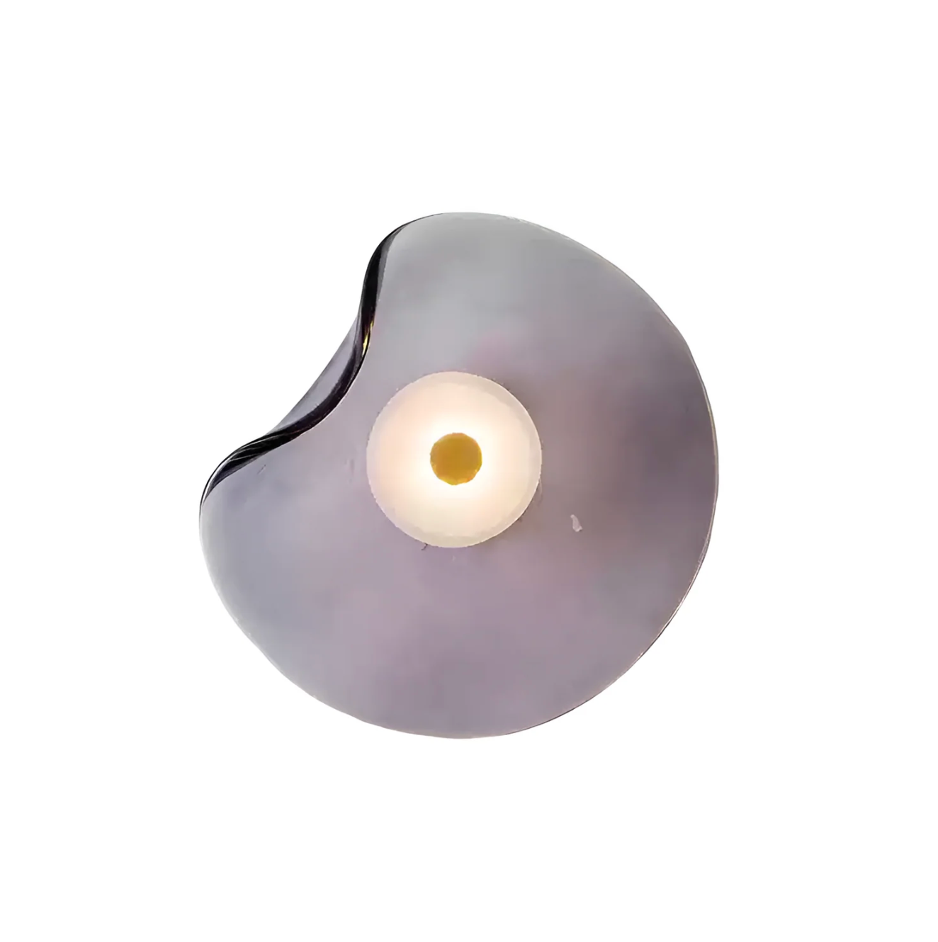 Designer LED Wall Light with Organic Shaped Shade