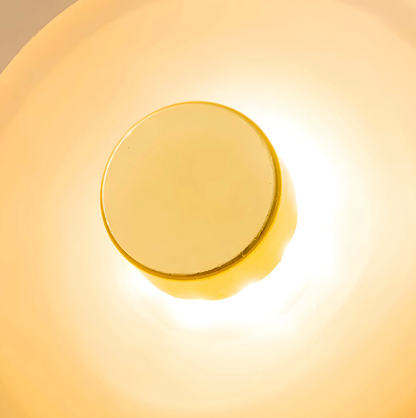 Designer LED Wall Light with Organic Shaped Shade