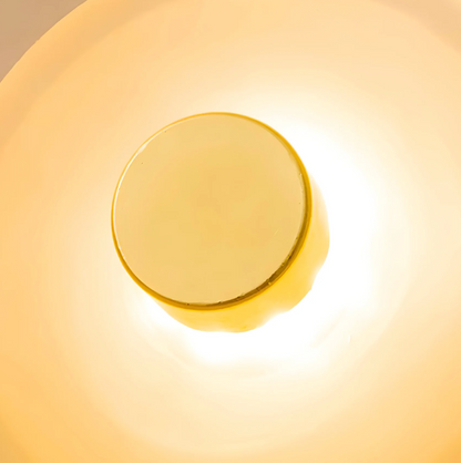 Designer LED Wall Light with Organic Shaped Shade