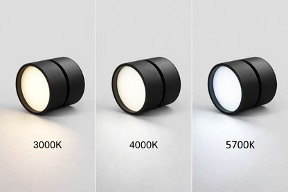 Modern Adjustable LED Ceiling Light