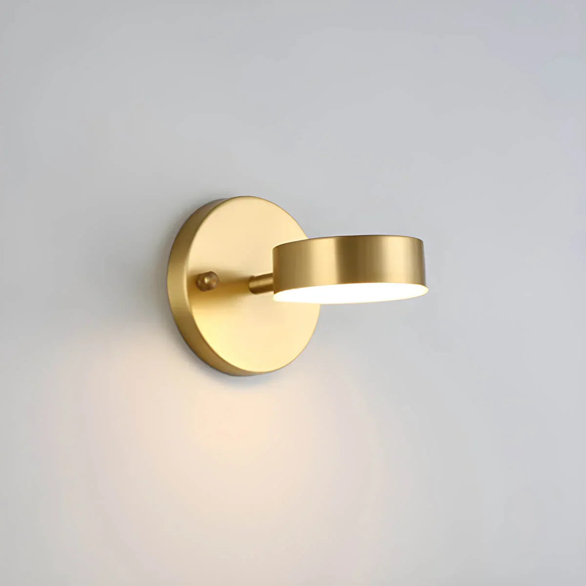 Modern LED Wall Light with Gold Finish