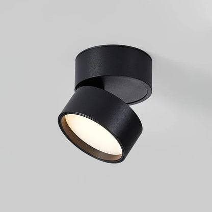 Modern Adjustable LED Ceiling Light