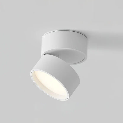 Modern Adjustable LED Ceiling Light