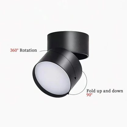 Modern Adjustable LED Ceiling Light
