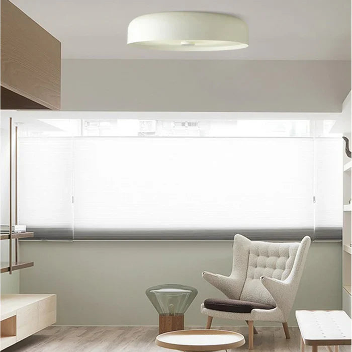 Modern Minimalist LED Ceiling Flush Mount Light