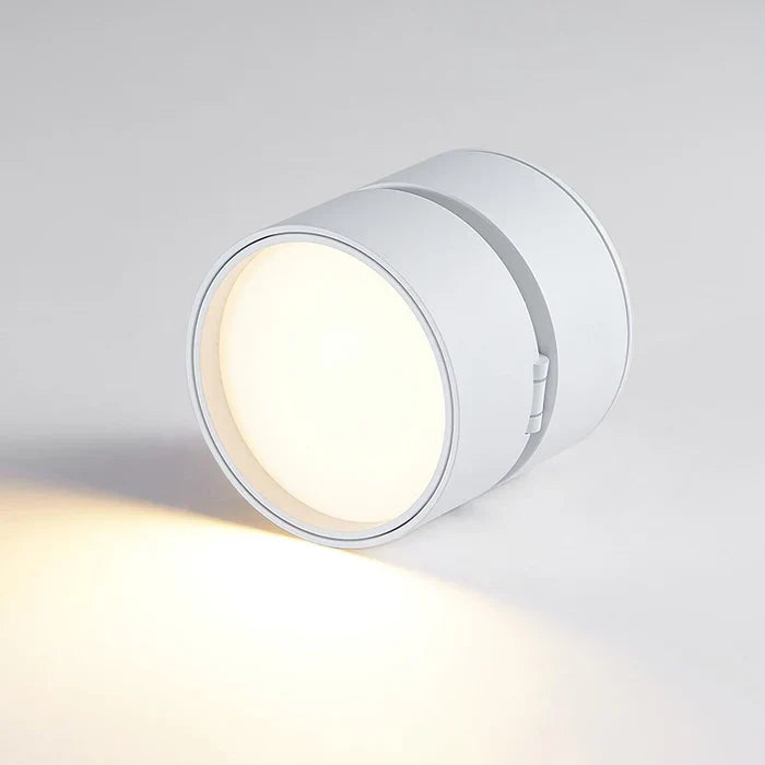 Modern Adjustable LED Ceiling Light