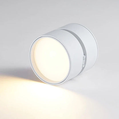 Modern Adjustable LED Ceiling Light