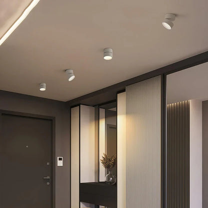 Modern Adjustable LED Ceiling Light