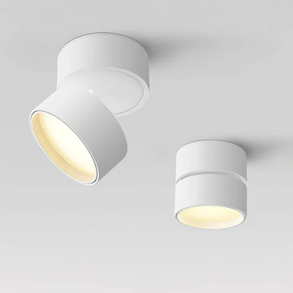 Modern Adjustable LED Ceiling Light