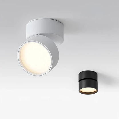 Modern Adjustable LED Ceiling Light