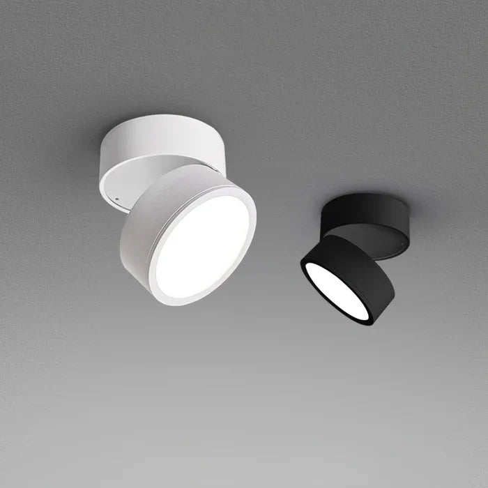 Modern Adjustable LED Ceiling Light