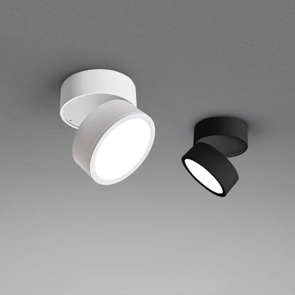 Modern Adjustable LED Ceiling Light
